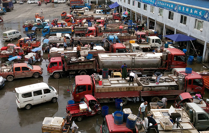 水产品批发市场.jpg